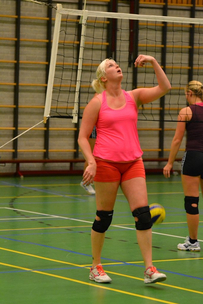 volleybalmeiden training 2013 009